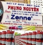 phụng nguyên 