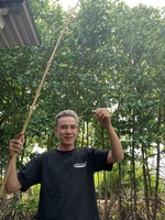 Dương Vinh