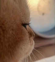 Hùng