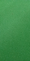 bảo 