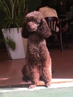 Péo Pụng Pự