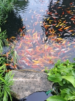  võ quốc nam