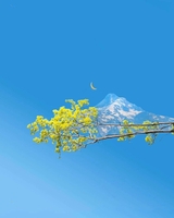 Đất Thanh Hoá 24h