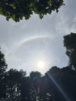 Điện Thoại Rẻ