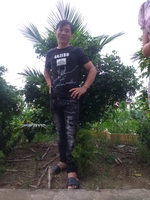 bảo