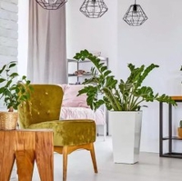 Nguyễn chế Nghĩa