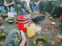 Đan Phượng