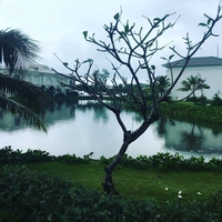 Trần Thuận Khang