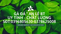 Lê Văn An