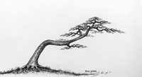  Tuấn bonsai