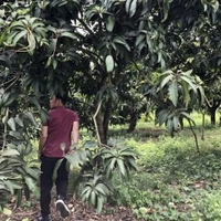 Đi Dạo Biên Hoà