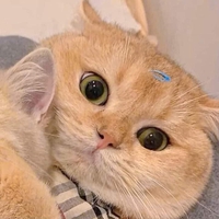 Trần Dần