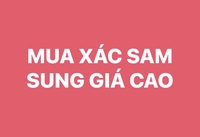 MUA XÁC SAM SUNG