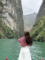 Vi Bùi