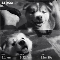 Nguyễn Trí Thuận