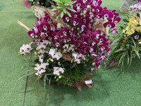 hưu phươc