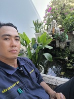 phong