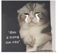 Nguyên