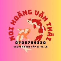 Trại cá KOI Hoàng Văn Thái