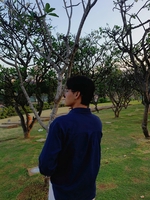 Nguyễn Bẽo
