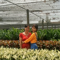 Trang