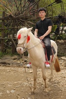 Văn