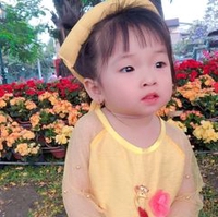 thanh tuyen