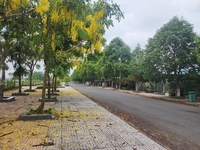 ĐẤT XANH VĨNH LONG