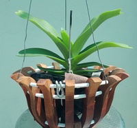 Nguyễn Minh Hoàng 