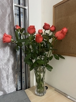 Nguyễn Thị Phương Thảo 