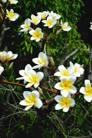 Thanh Lý Quần Áo Lẻ Size