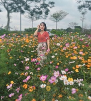 Kim Anh
