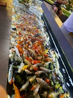 nguyễn quốc bảo