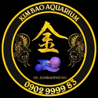 KIM BAO AQUARIUM