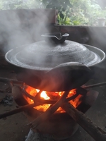 Làm Vườn ở đảo