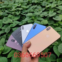 trường