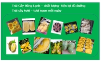 Trái cây đông lạnh Trái Cây Cười 