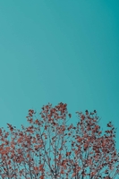 Nguyễn Khắc Thịnh