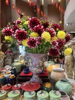Thanh Hằng