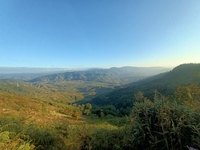 Đặng Thiện