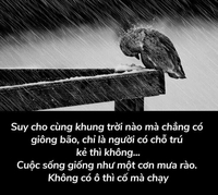 Hồng Nhung