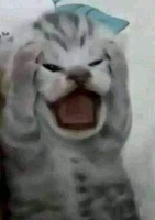 Nhân
