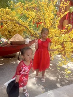Lê Duy Hải 