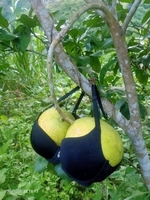 Đam mê công nghệ