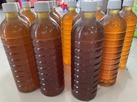 Nguyễn Tuyết Trang