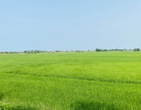 BảySắc CầuVồng