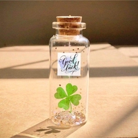 Nguyễn Văn Trường