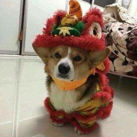 BÁN LINH KIỆN BẾN CÁT