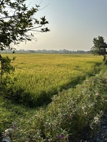 Đam mê công nghệ