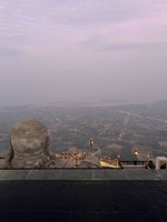 hào gà cỏ